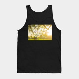 24 karat Tank Top